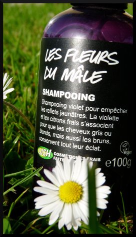 Lu & Lush 33 ➼ Oh oui, fais-moi mâle !