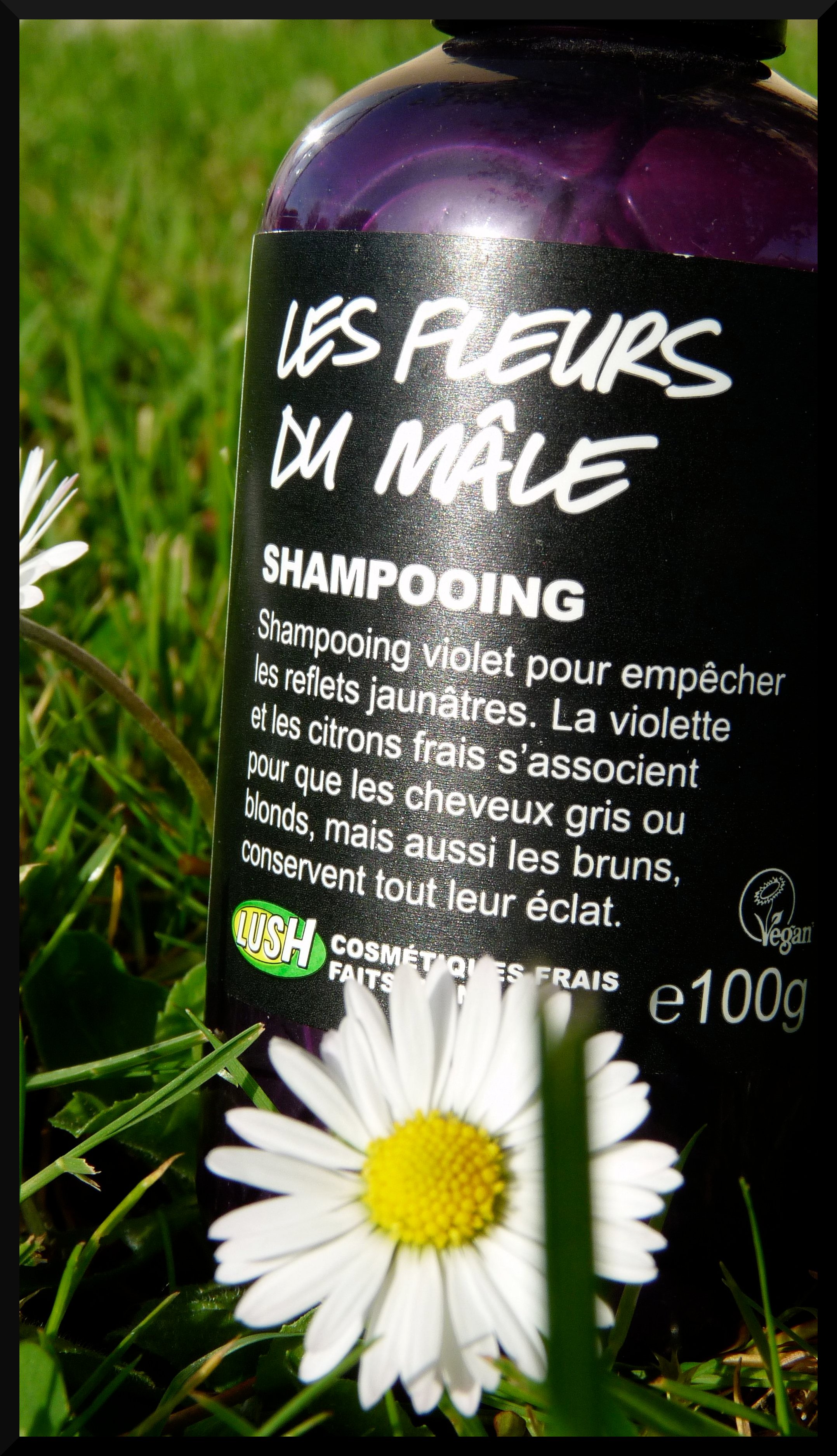 Lu & Lush 33 ➼ Oh oui, fais-moi mâle !