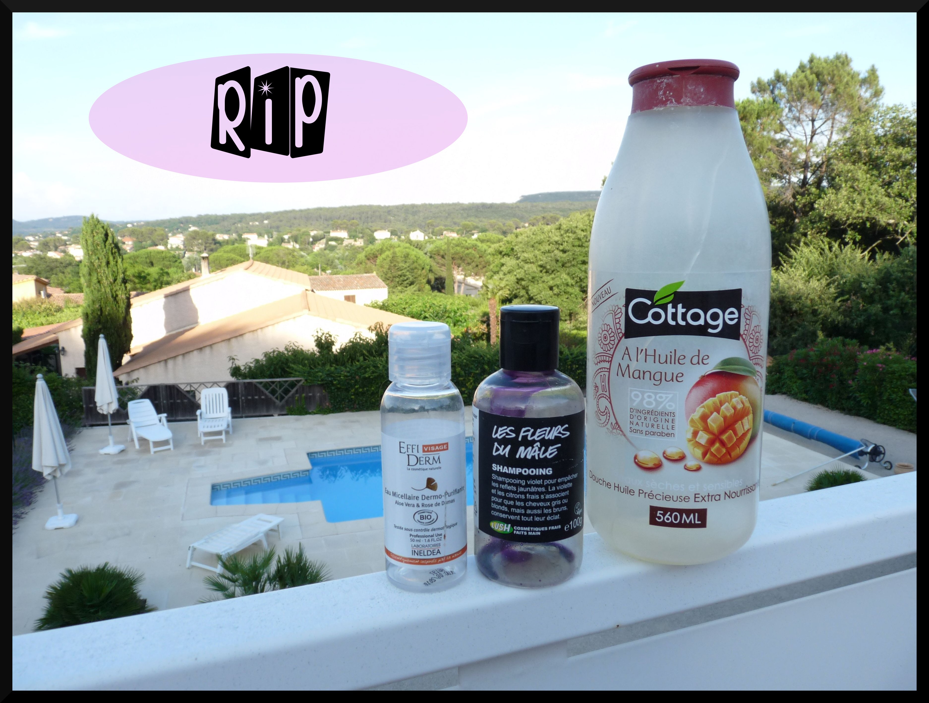 ✞ Les disparitions de Juin 2014 ✞