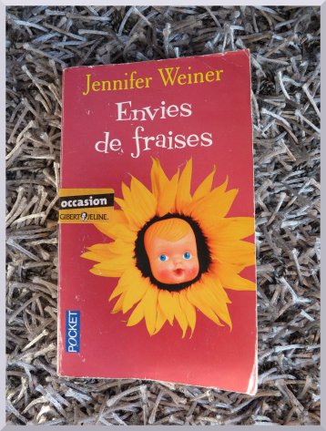 ( Envie de fraises – J. WEINER ) La maternité pour les nulles
