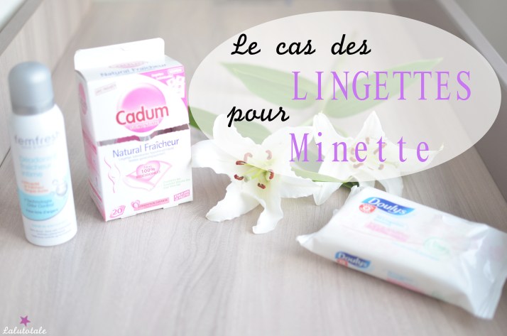 L&rsquo;hygiène de Minette : le cas « épineux » des lingettes
