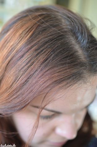 ( CATTIER ) Le vinaigre de romarin : assaisonnement de choix ou shampooing Bio miracle pour cheveux gras ?
