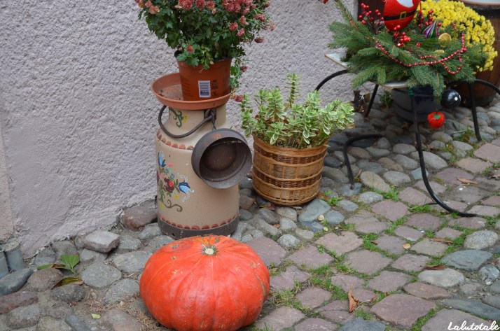( L&rsquo;Alsace en décembre – Jour 1 ) Les marchés de Noël d&rsquo;Eguisheim et Kaysersberg
