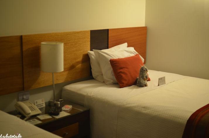 ( PÉROU Jour 1 ) Doudou Marmotte, Lima, valise pétée et semi-coma.