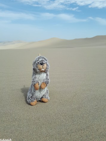 ( PÉROU Jour 2 – Suite ) Pisco, haricots, buggy dans le désert d&rsquo;Ica et géoglyphes de Nazca.
