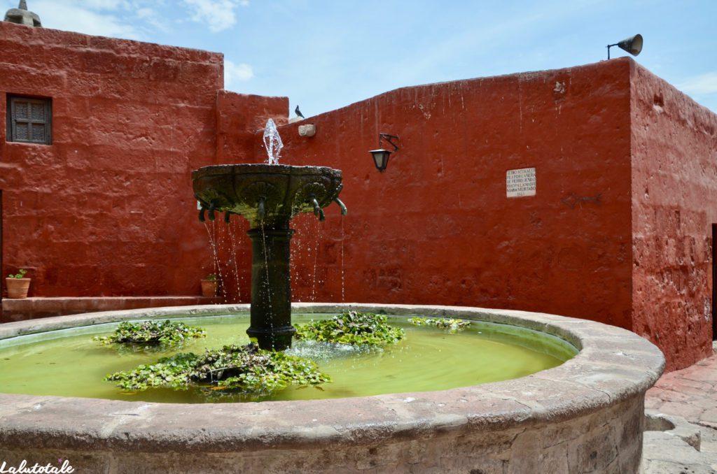 Pérou Arequipa tourisme circuit laine alpaga santa catalina