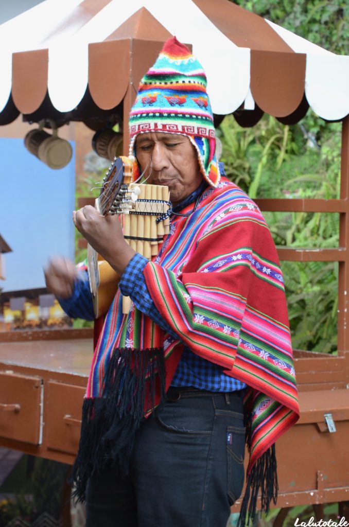 Pérou Arequipa circuit tourisme marché pisco Typika picanteria