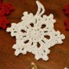 Elsa flocon (5) ELSA, le flocon décoratif au crochet 🎇 - Pack de 10 -