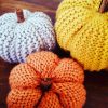 Jackie, la citrouille déco au tricot qui a l'air d'une courge 🎃