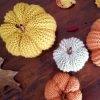 Jackie, la citrouille déco au tricot qui a l'air d'une courge 🎃