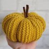 Jackie, la citrouille déco au tricot qui a l'air d'une courge 🎃