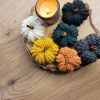 Jackie, la citrouille déco au tricot qui a l'air d'une courge 🎃
