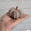 Jackie, la citrouille déco au tricot qui a l'air d'une courge 🎃