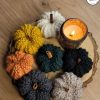 Jackie, la citrouille déco au tricot qui a l'air d'une courge 🎃