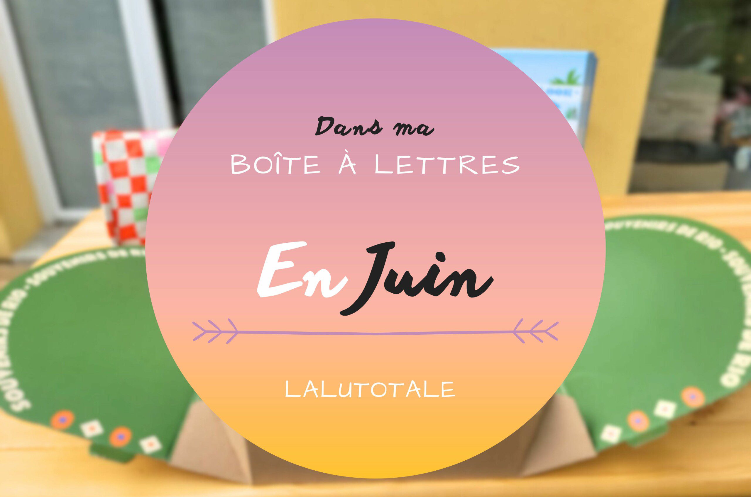 Haul les coeurs en Juin 2024 ! Boîte à lettres et résumé du mois 📬