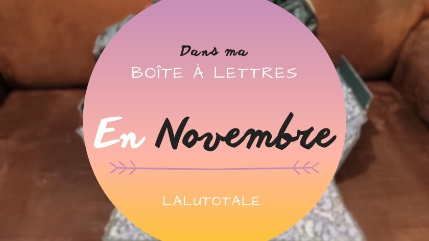 Haul les coeurs en Novembre 2024 ! Boîte à lettres et résumé du mois