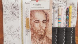 Nouzipoche tuto couture patron livre de Poche pochette protège