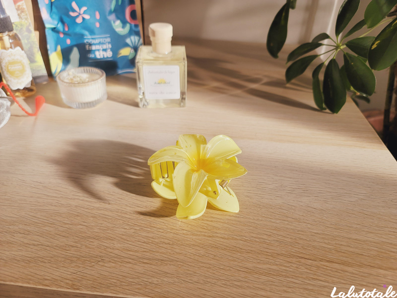 pince à cheveux evasia box fleur frangipanier